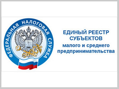 Единый реестр субъектов МСП обновлен по данным за 2024 год. Что делать, если вас по какой-то причине не включили