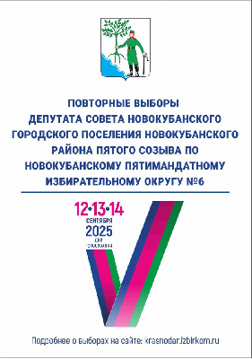 Повторные выборы депутата совета Новокубанского городского поселения Новокубанского  района пятого созыва по Новокубанскому пятимандатному избирательному округу №6