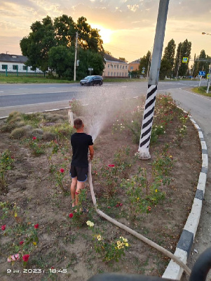 Благоустройство