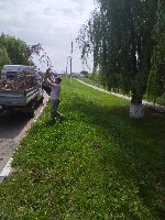 Наведение санитарного порядка