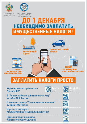 В этом году земельный, транспортный и имущественный налоги нужно уплатить до 2 декабря