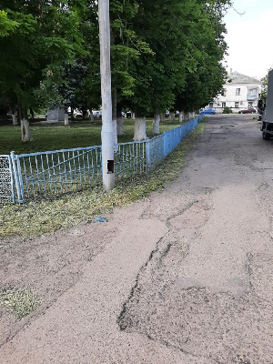 Наведение санитарного порядка