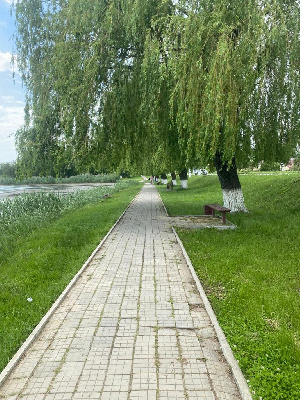 Пятница-санитарный день!
