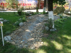 DSC00416