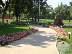 DSC00383