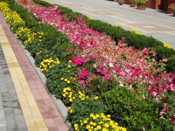 DSC00397